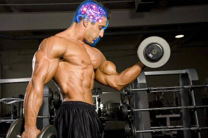 bodybuilder lifting with animated brain function