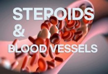 Steroids & Blood vessels