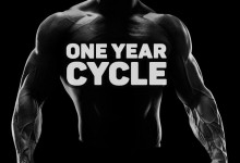 One Year Cycle