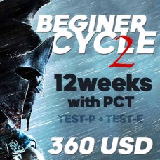 Beginner cycle 2