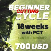 Beginner Cutting cycle